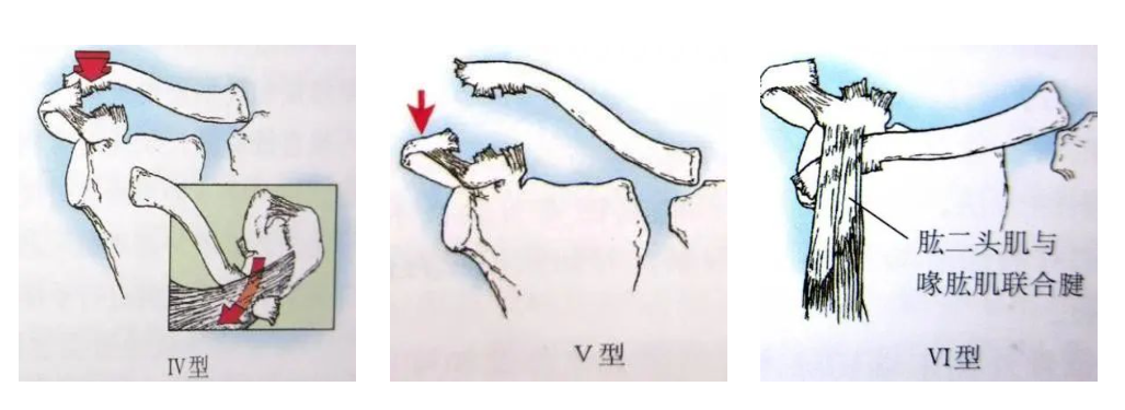 微信圖片_20250221094741