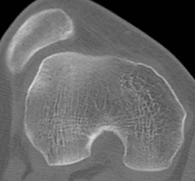 微信圖片_20250327102137