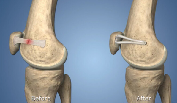 微信圖片_20250327102546