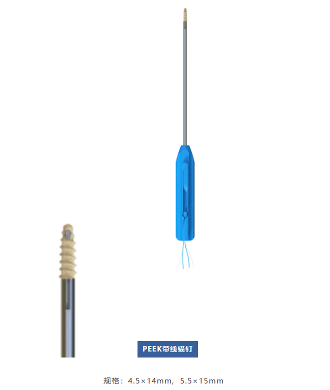 微信圖片_20250327102654