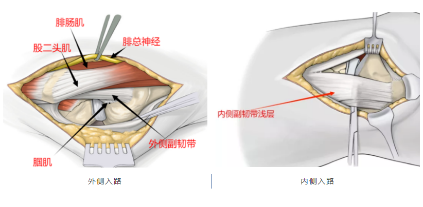 微信圖片_20250425104648 微信圖片_20250425104648
