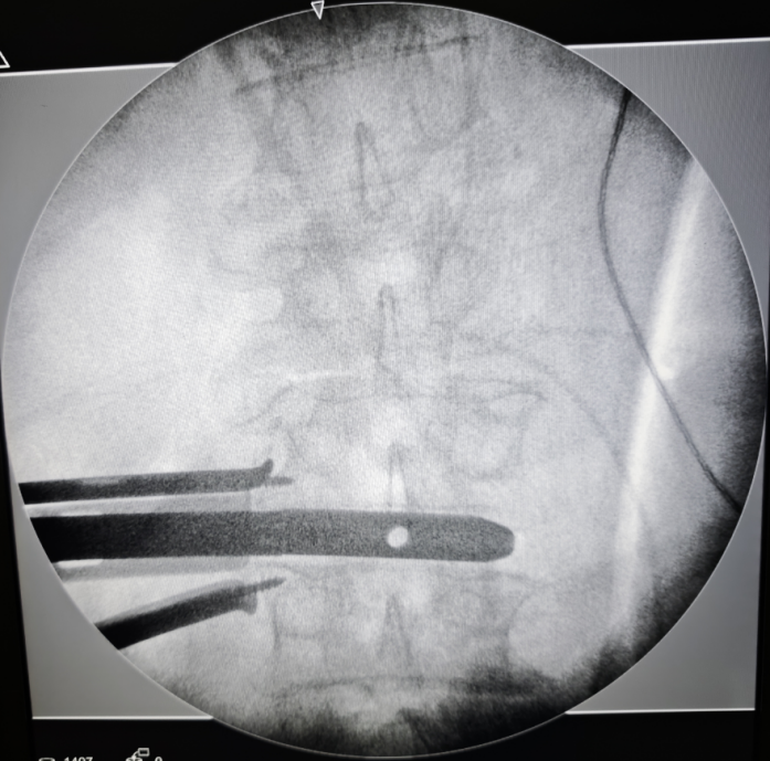 微信圖片_20250403091106 微信圖片_20250403091106