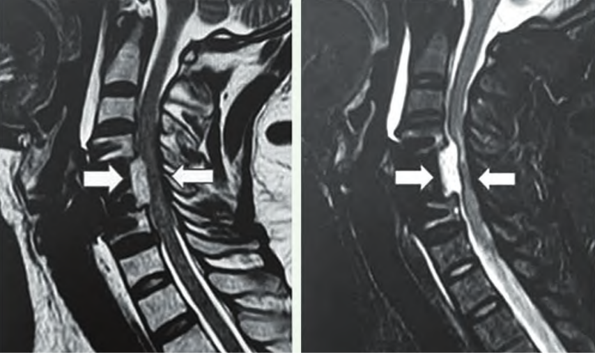 微信圖片_20250523094954