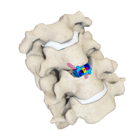 微信圖片_20250523095210
