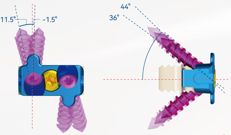 微信圖片_20250523095325