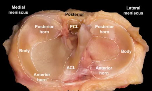 微信圖片_20250530101106