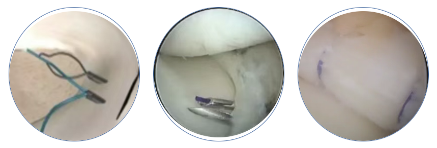 微信圖片_20250530101405