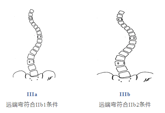 微信圖片_20250627125235 微信圖片_20250627125235