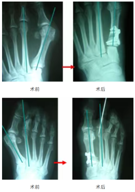 微信圖片_2025-08-07_125800_856 微信圖片_2025-08-07_125800_856